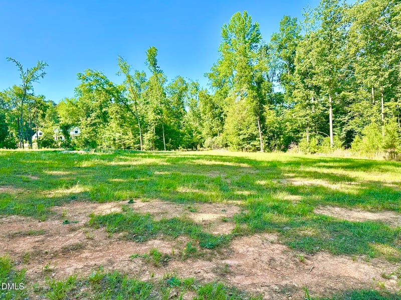 6.29 Ac June Dr, Hillsborough, NC 27278