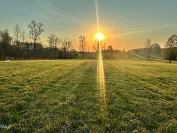 6.62 Acres Jones Rd, Hurdle Mills, NC 27541