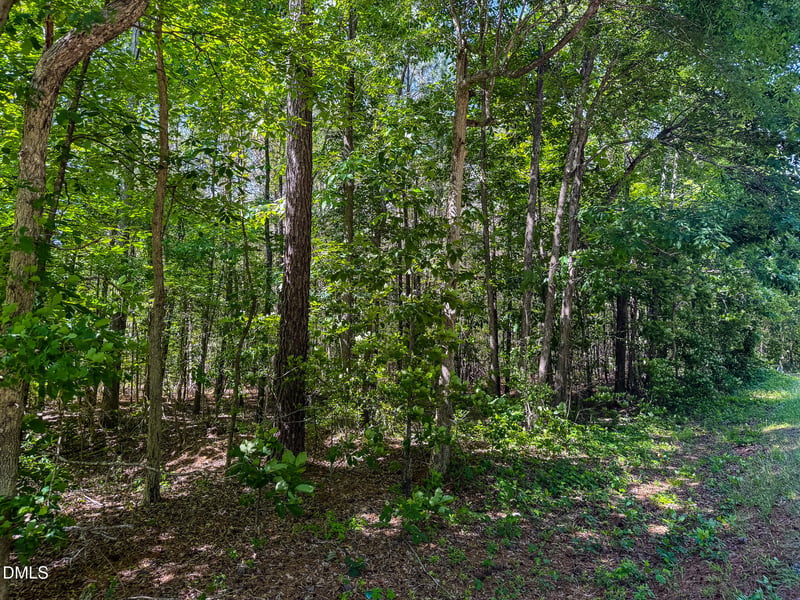 6.68 Ac Orange Grove Rd, Hillsborough, NC 27278