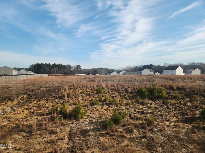 60 Coles Hill Rd, Angier, NC 27501