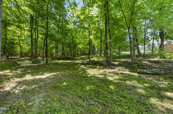 60 Prospectus Ln, Franklinton, NC 27525