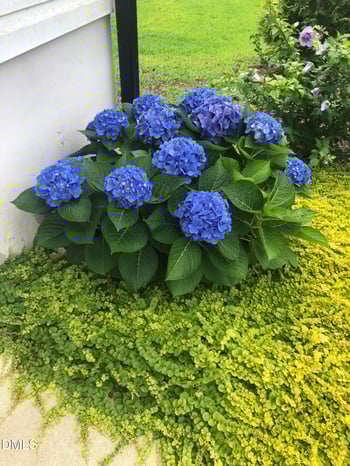 60 Robertson Stable Ln, Zebulon, NC 27597