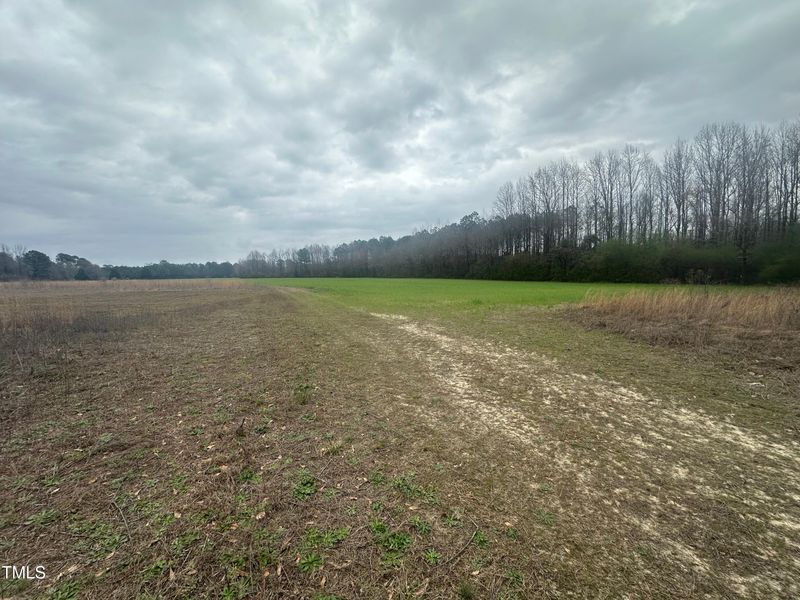 60 Shea Ln Lot 60, Dunn, NC 28334