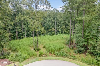 60 Willow Creek Ct, Pittsboro, NC 27312