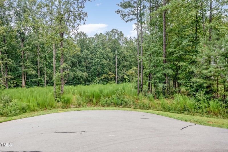 60 Willow Creek Ct, Pittsboro, NC 27312