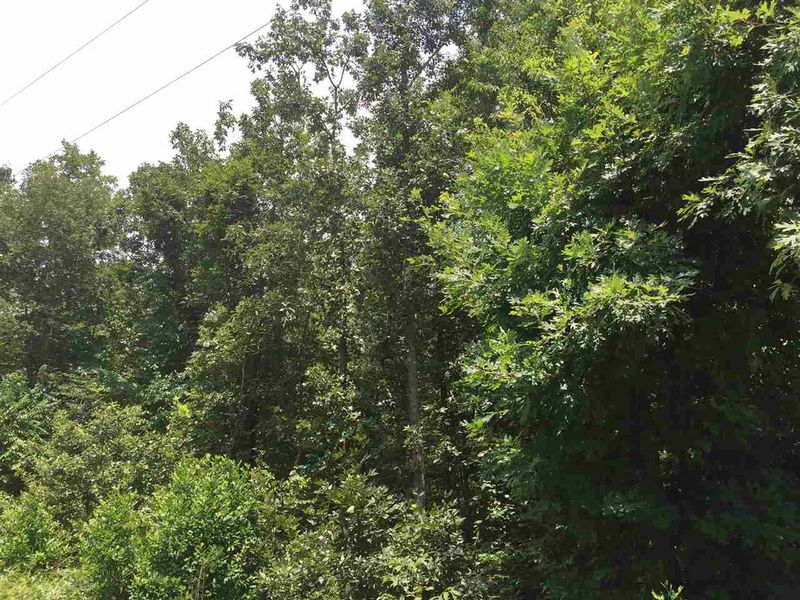 600 W Killiegrey St Lot 6, Lillington, NC 27546
