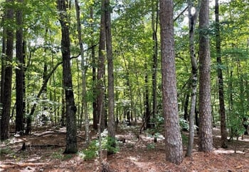 6002 Cypress Point, Sanford, NC 27332