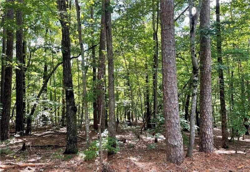6002 Cypress Point, Sanford, NC 27332