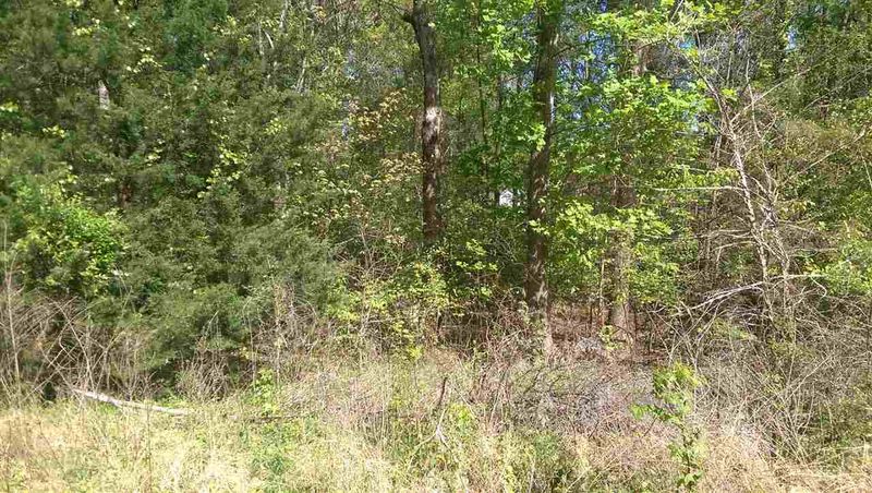 6012 Olson Dr Lot 8, Durham, NC 27712