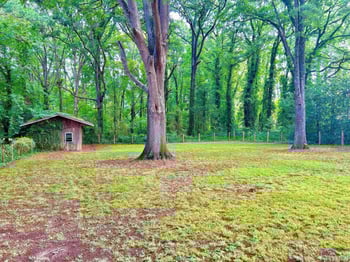 6015 Inona Pl, Raleigh, NC 27606