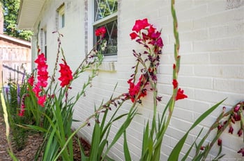 602 Canterbury Rd, Sanford, NC 27330