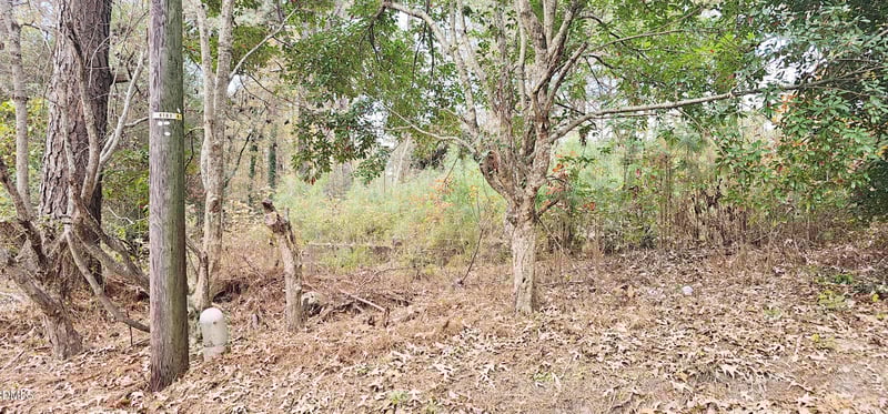 6026 Colonial Dr, Raleigh, NC 27603