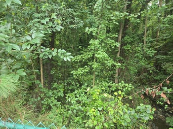604 Geer St Lot 3, Durham, NC 27701