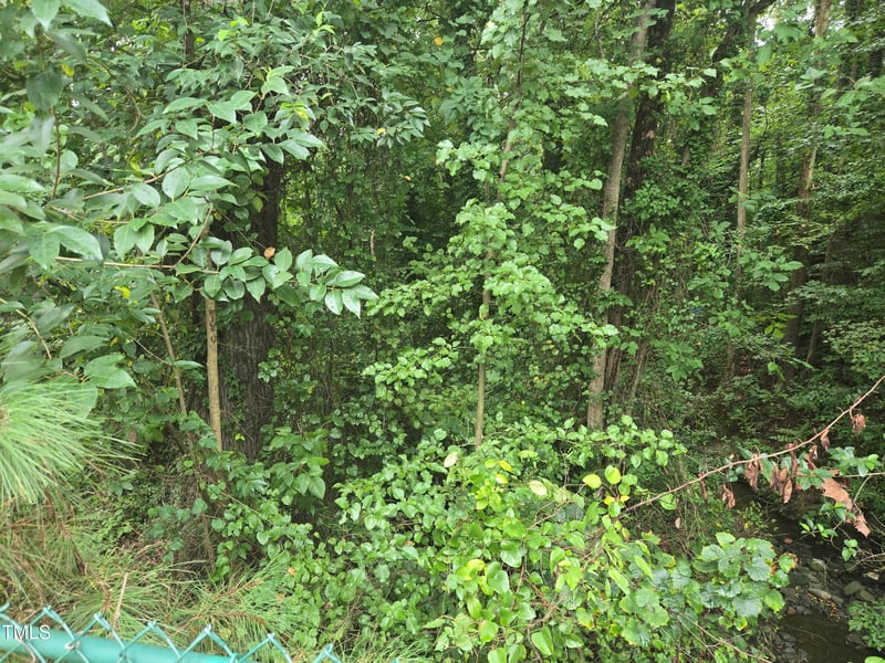 604 Geer St Lot 3, Durham, NC 27701