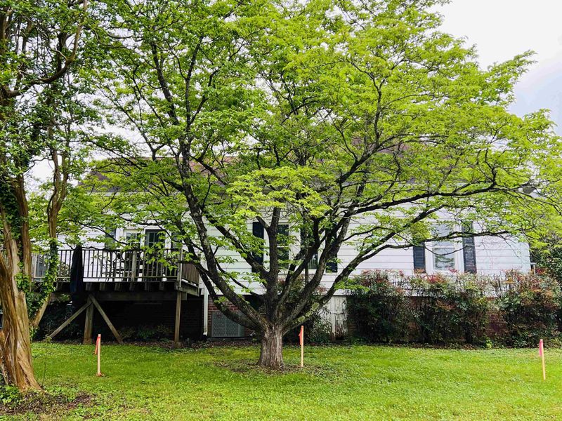 606 Benton St, Hillsborough, NC 27278