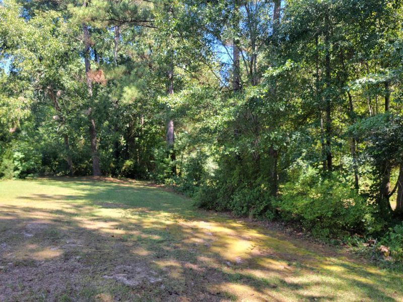 6061 Old Fairground Rd, Benson, NC 27504