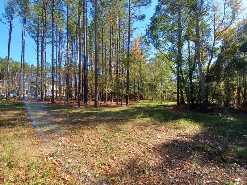 609 Dappled Pine Ave Lot 12, Durham, NC 27713