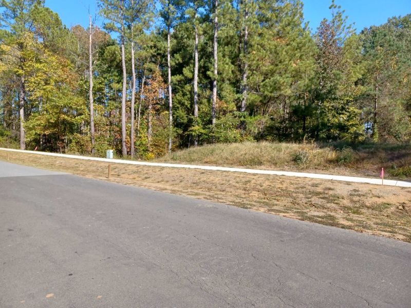 609 Dappled Pine Ave Lot 12, Durham, NC 27713