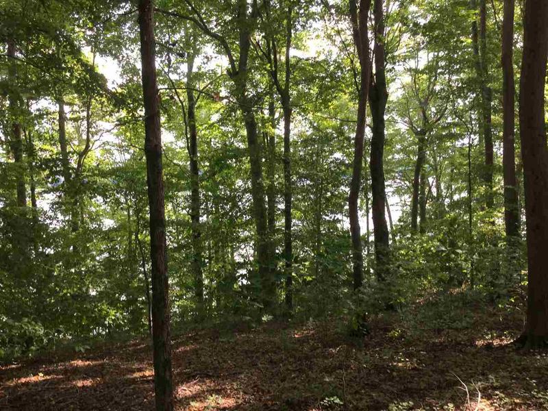 609 Edgewater Dr Lot 6C, Garner, NC 27529
