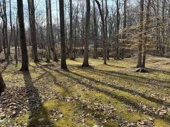 609 Shambley Rd, Mebane, NC 27302