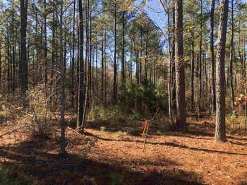 61 Masonary Ln Lot 2, New Hill, NC 27562