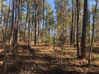 61 Masonary Ln Lot 2, New Hill, NC 27562