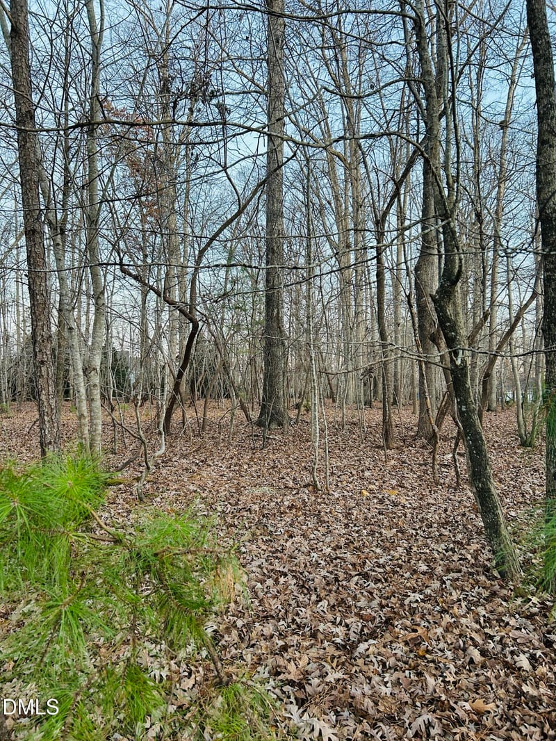 6104 Treyburn Point Dr Lot 29, Durham, NC 27712