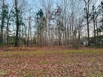 6104 Treyburn Point Dr Lot 29, Durham, NC 27712