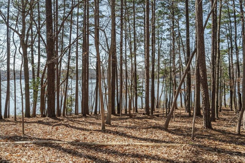 6125 View Water Dr, Raleigh, NC 27606