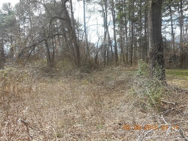 613 N Hardee St Lot 12, Durham, NC 27703