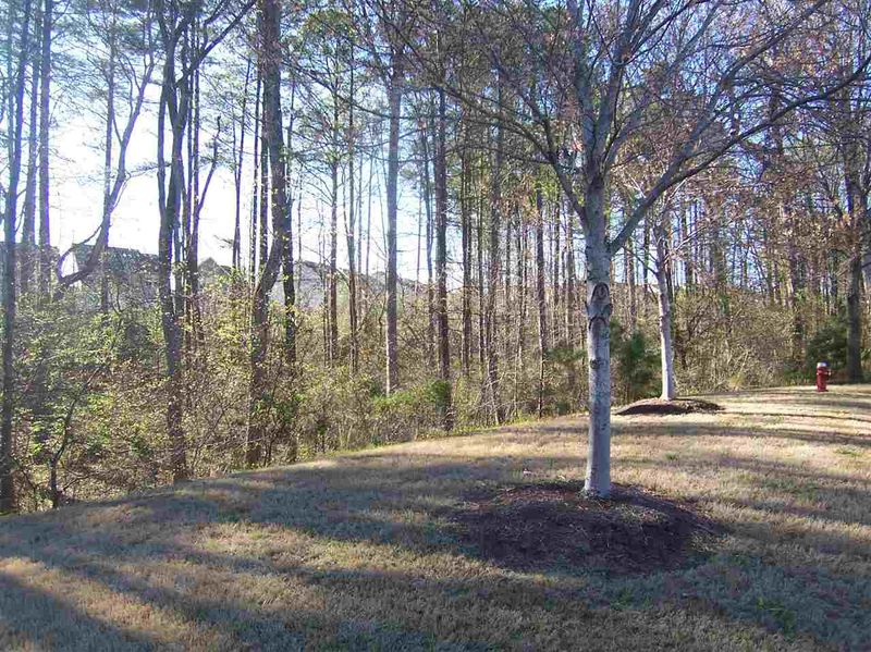 6157 Blakeman Ln, Raleigh, NC 27617