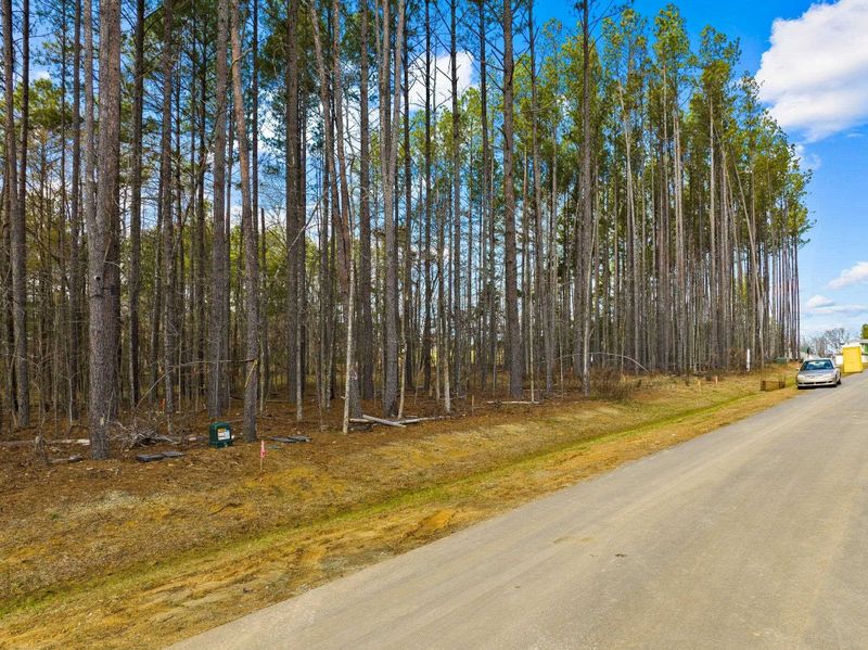 617 Dappled Pine Ave Lot 14, Durham, NC 27713