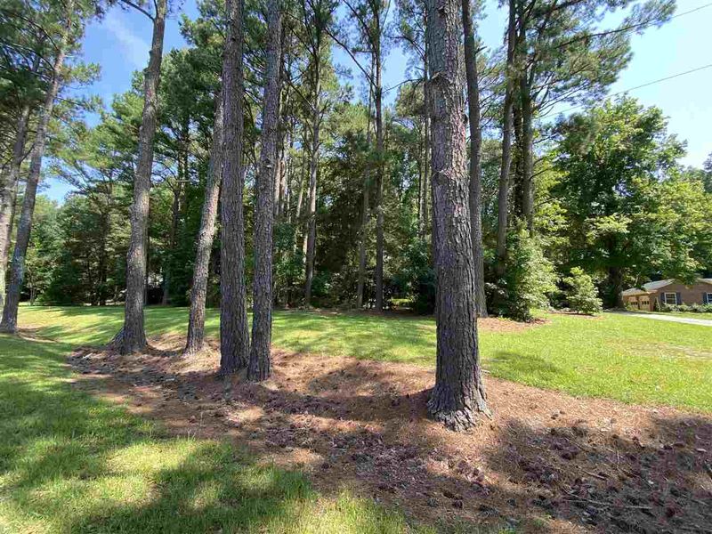 617 Edgewater Dr Lot Tract 3, Garner, NC 27529