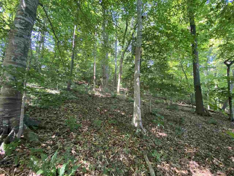 617 Edgewater Dr Lot Tract 3, Garner, NC 27529