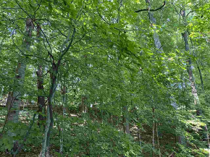617 Edgewater Dr Lot Tract 3, Garner, NC 27529