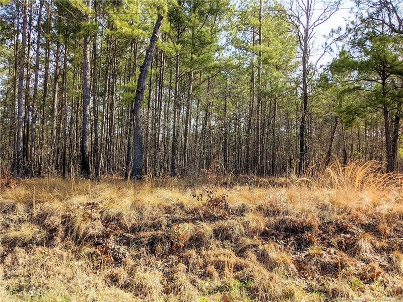 62 Bumpy Ln, Sanford, NC 27332