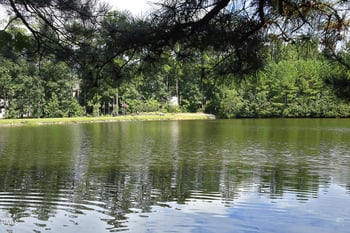 620 St Vincent Dr, Holly Springs, NC 27540