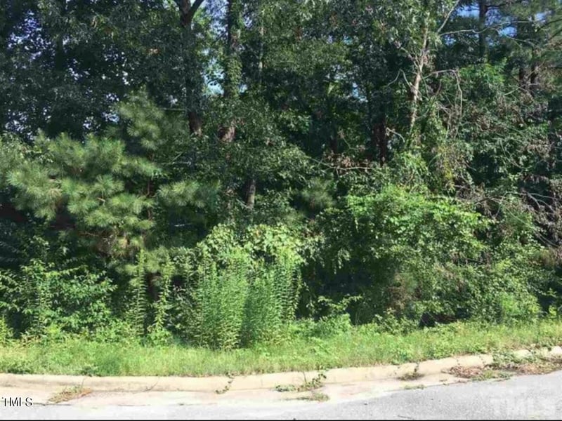 6209 River Breeze Lot 302, Raleigh, NC 27604