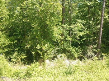 6221 Cheek , Gibsonville, NC 27249