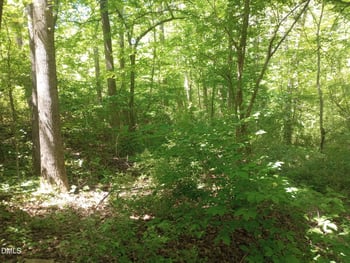 6221 Cheek , Gibsonville, NC 27249