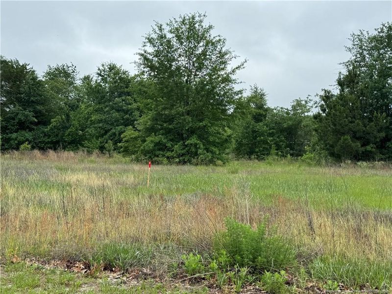 6227 Rockfish Rd, Hope Mills, NC 28348