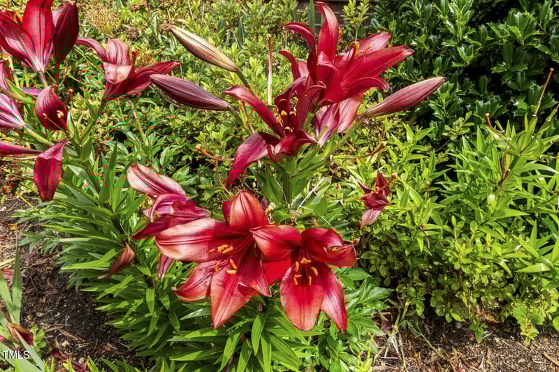 624 Meadowgrass Ln, Wake Forest, NC 27587