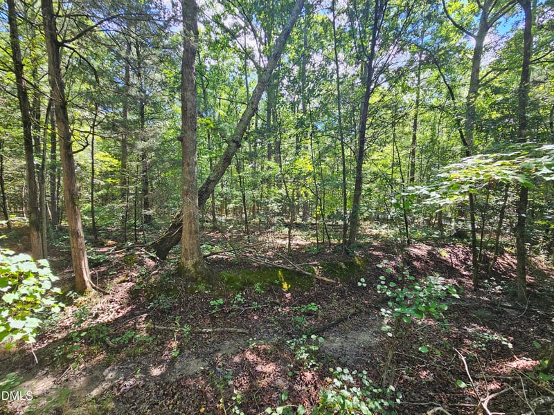 625 Harts Creek Dr Lot 10, Pittsboro, NC 27312