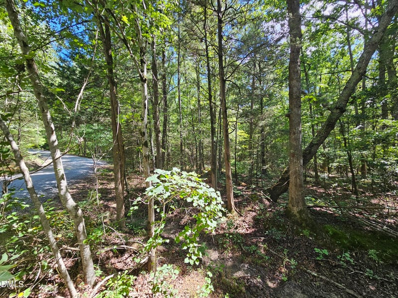 625 Harts Creek Dr Lot 10, Pittsboro, NC 27312