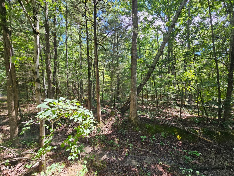 625 Harts Creek Dr Lot 10, Pittsboro, NC 27312