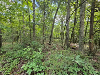 625 Harts Creek Dr Lot 10, Pittsboro, NC 27312