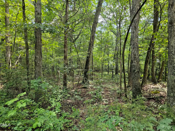 625 Harts Creek Dr Lot 10, Pittsboro, NC 27312