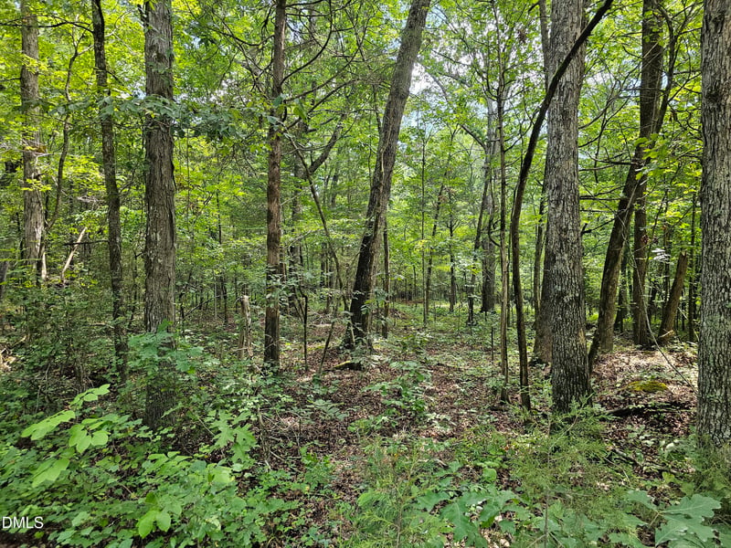 625 Harts Creek Dr Lot 10, Pittsboro, NC 27312
