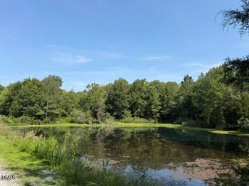 625 Harts Creek Dr Lot 10, Pittsboro, NC 27312