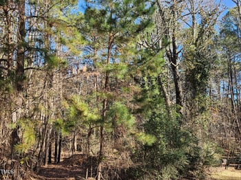 625 Pearson Dr Lot 198-201, Durham, NC 27713
